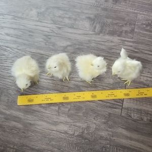 Set of 4 Chick decor/props
